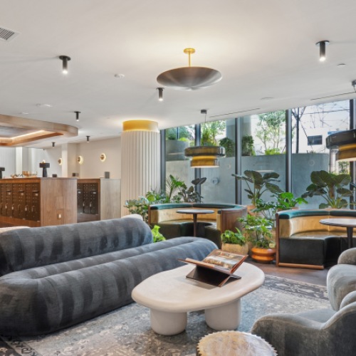 Gray couches and greenery in mailroom lounge at STella at Star Metals